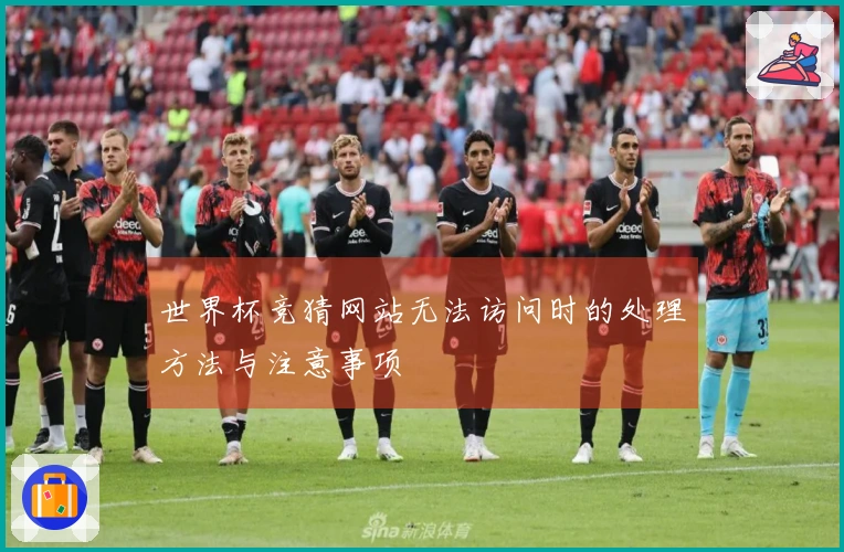 世界杯竞猜网站无法访问时的处理方法与注意事项