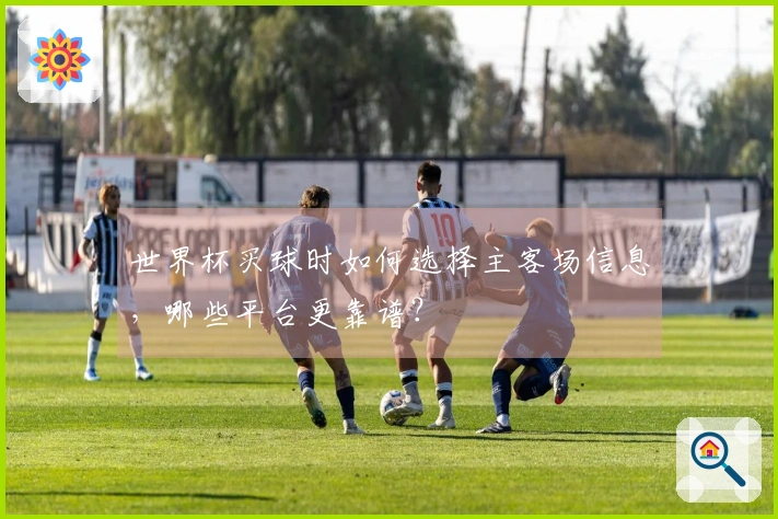 世界杯买球时如何选择主客场信息，哪些平台更靠谱？