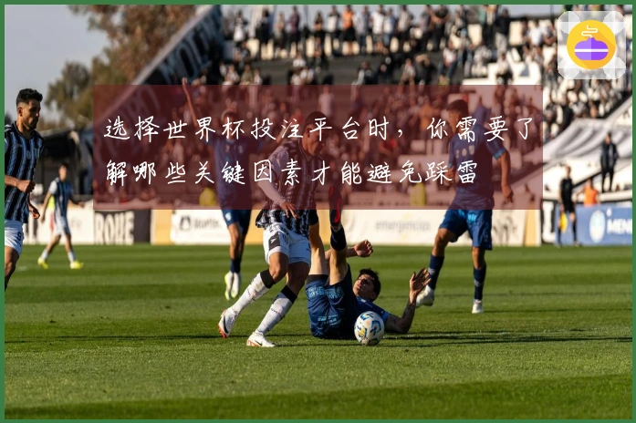 选择世界杯投注平台时,你需要了解哪些关键因素才能避免踩雷