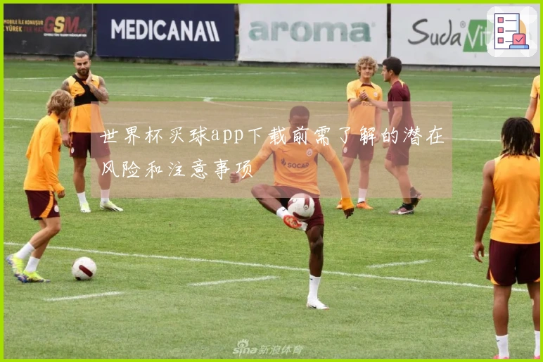 世界杯买球app下载前需了解的潜在风险和注意事项