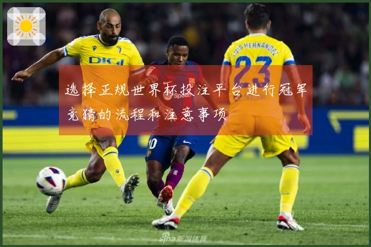 选择正规世界杯投注平台进行冠军竞猜的流程和注意事项