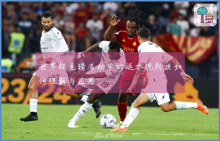 世界杯竞猜活动中的返水规则该如何理解与应用
