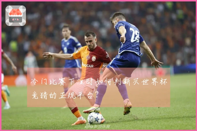 冷门比赛下注时如何判断买世界杯竞猜的正规平台?