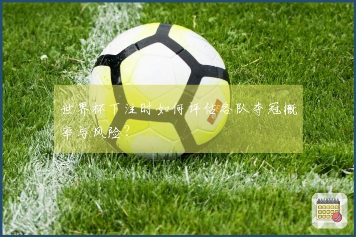世界杯下注时如何评估各队夺冠概率与风险？