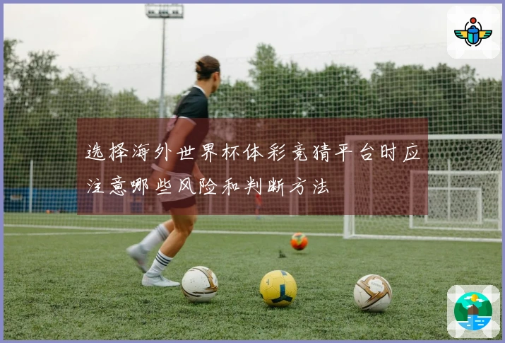 选择海外世界杯体彩竞猜平台时应注意哪些风险和判断方法
