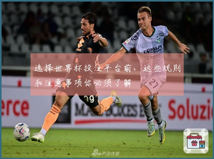 选择世界杯投注平台前,这些规则和注意事项你必须了解