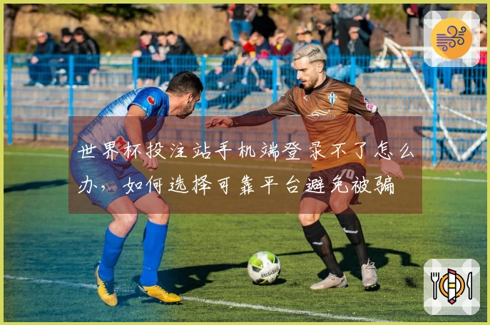 世界杯投注站手机端登录不了怎么办，如何选择可靠平台避免被骗