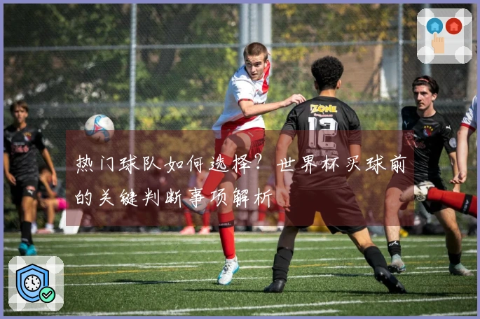 热门球队如何选择？世界杯买球前的关键判断事项解析