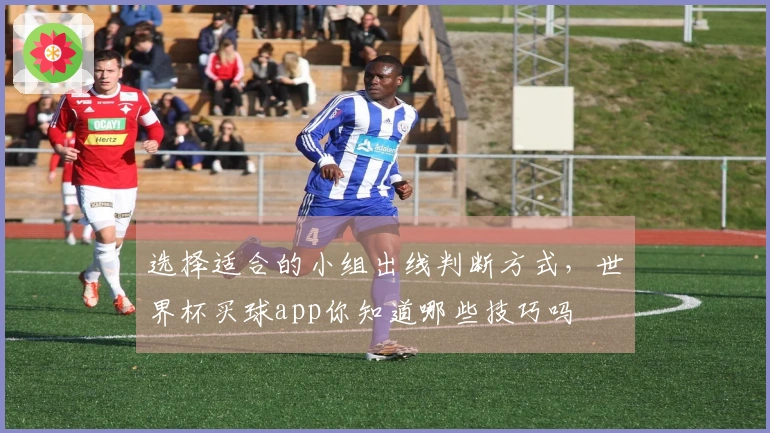 选择适合的小组出线判断方式，世界杯买球app你知道哪些技巧吗