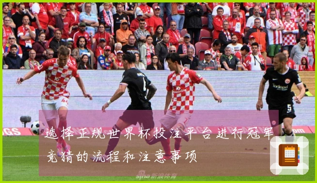 选择正规世界杯投注平台进行冠军竞猜的流程和注意事项