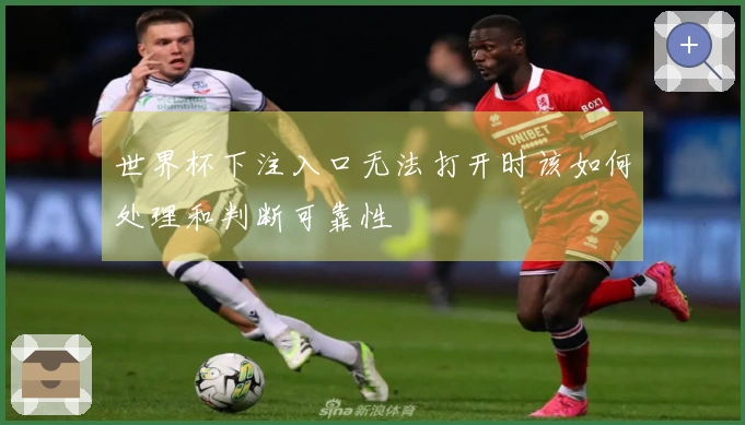 世界杯下注入口无法打开时该如何处理和判断可靠性