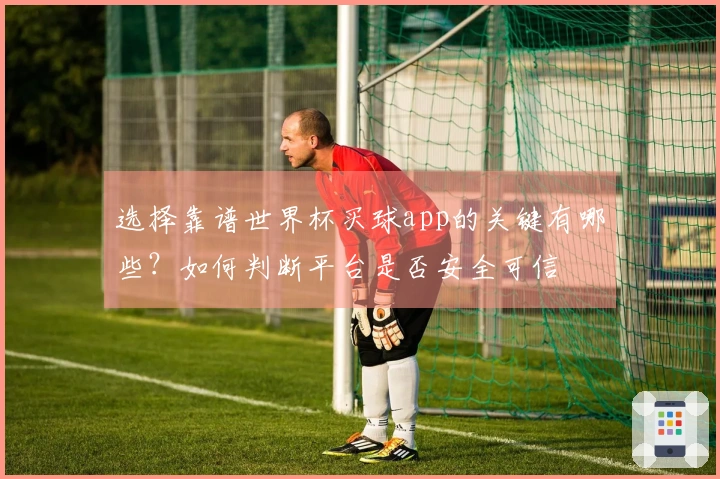 选择靠谱世界杯买球app的关键有哪些？如何判断平台是否安全可信