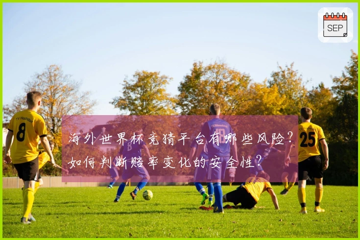 海外世界杯竞猜平台有哪些风险？如何判断赔率变化的安全性？