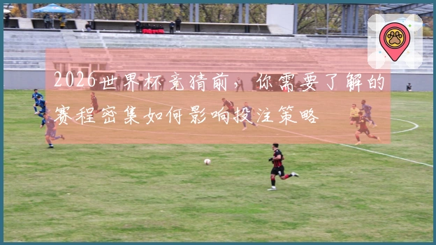 2026世界杯竞猜前,你需要了解的赛程密集如何影响投注策略