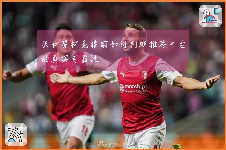 买世界杯竞猜前如何判断推荐平台的真实可靠性