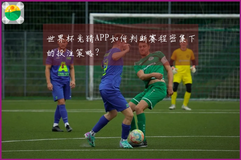 世界杯竞猜APP如何判断赛程密集下的投注策略？