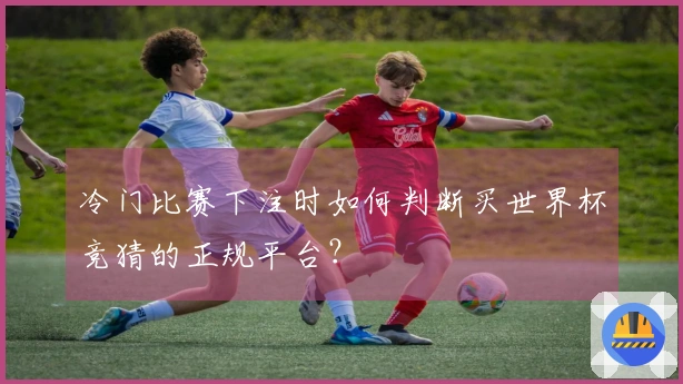 冷门比赛下注时如何判断买世界杯竞猜的正规平台？