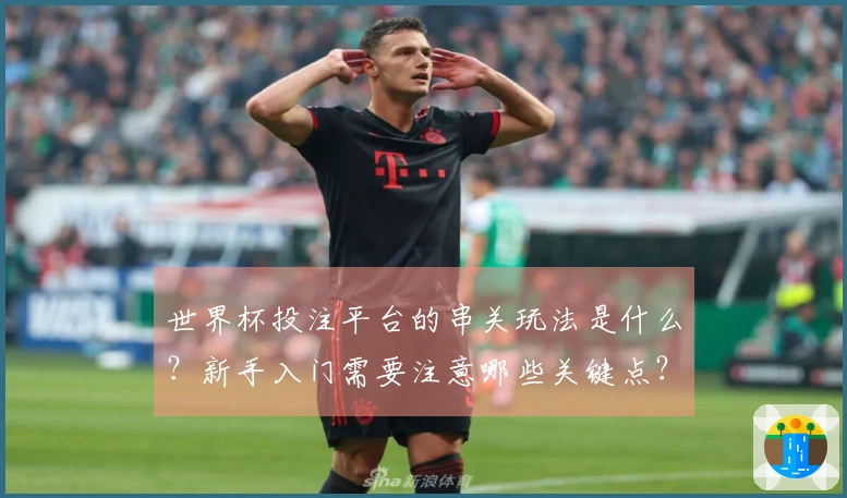 世界杯投注平台的串关玩法是什么？新手入门需要注意哪些关键点？