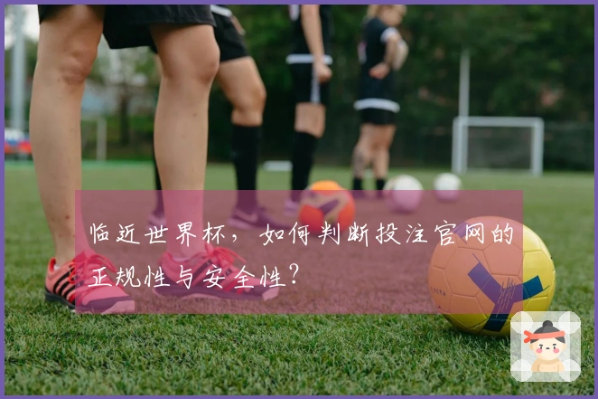 临近世界杯，如何判断投注官网的正规性与安全性？