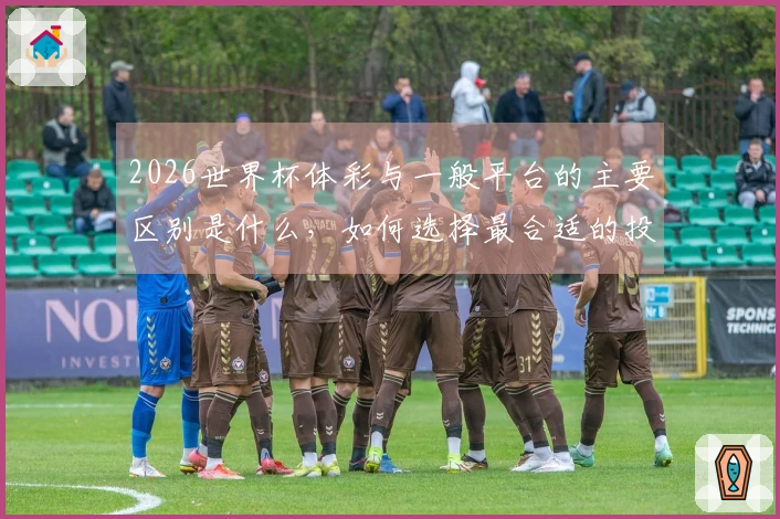 2026世界杯体彩与一般平台的主要区别是什么，如何选择最合适的投注方式？